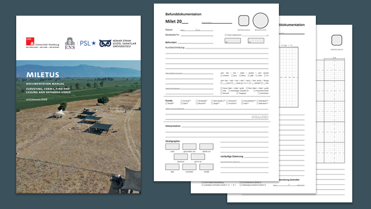 Miletus Documentation Manual